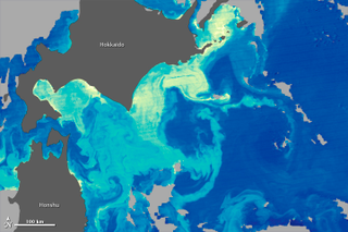 Illustration for article titled Vote on the best satellite photos from 2013